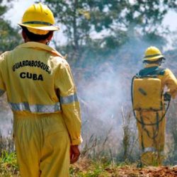 Áreas protegidas en Cuba: entre la conservación y la supervivencia
